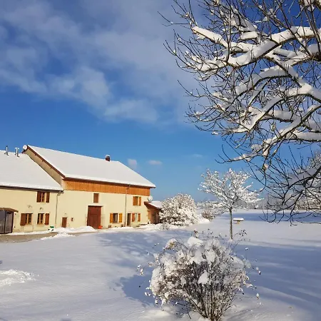 Grimont Au Calme Grand Terrain Circuit Cascades Du Herisson Holiday home